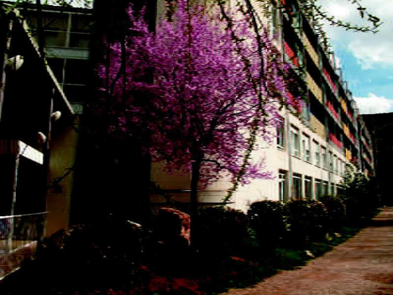 Hotel Balneario Sicilia Jaraba Esterno foto